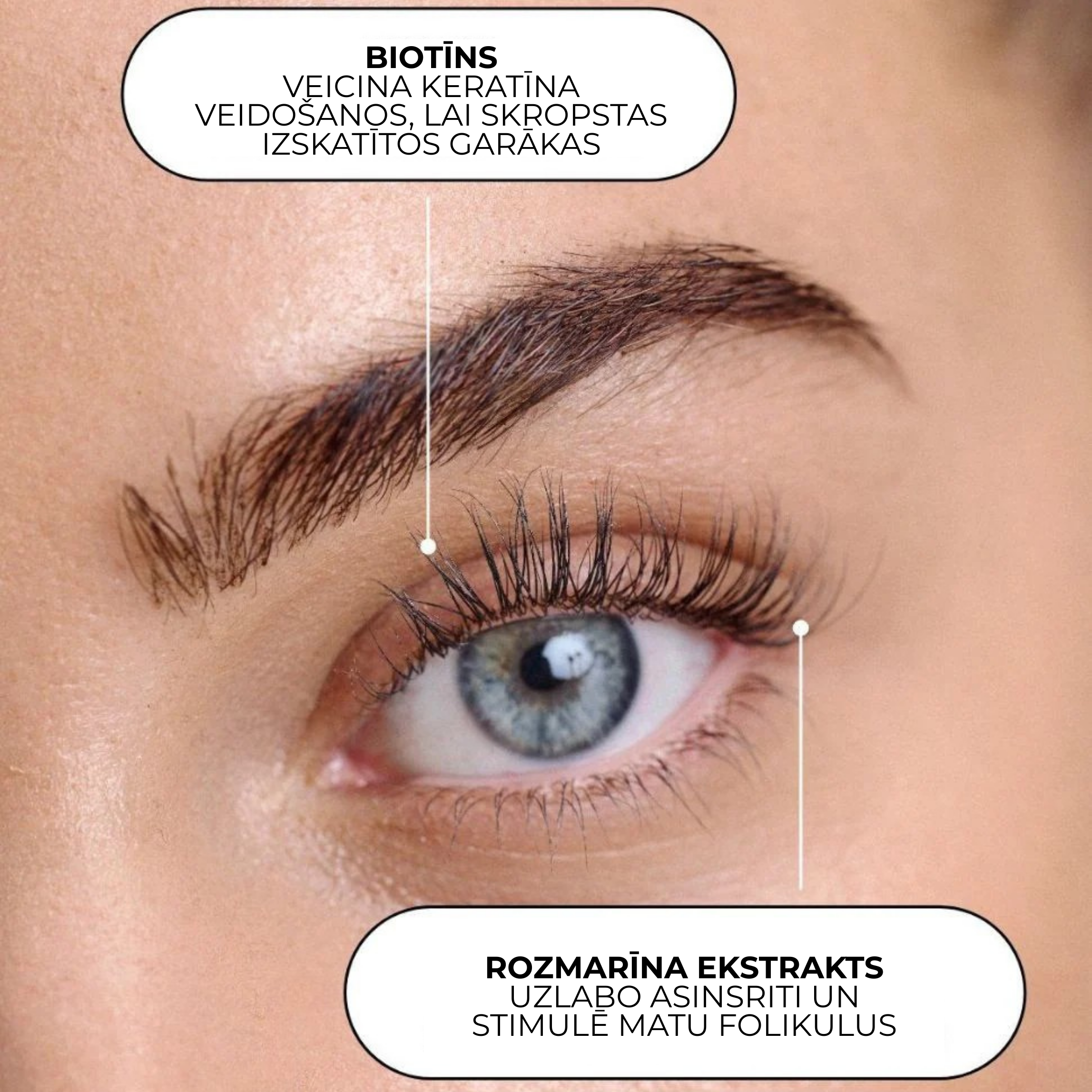 Xlash Eyelash Serum - сыворотка для ресниц, 5мл