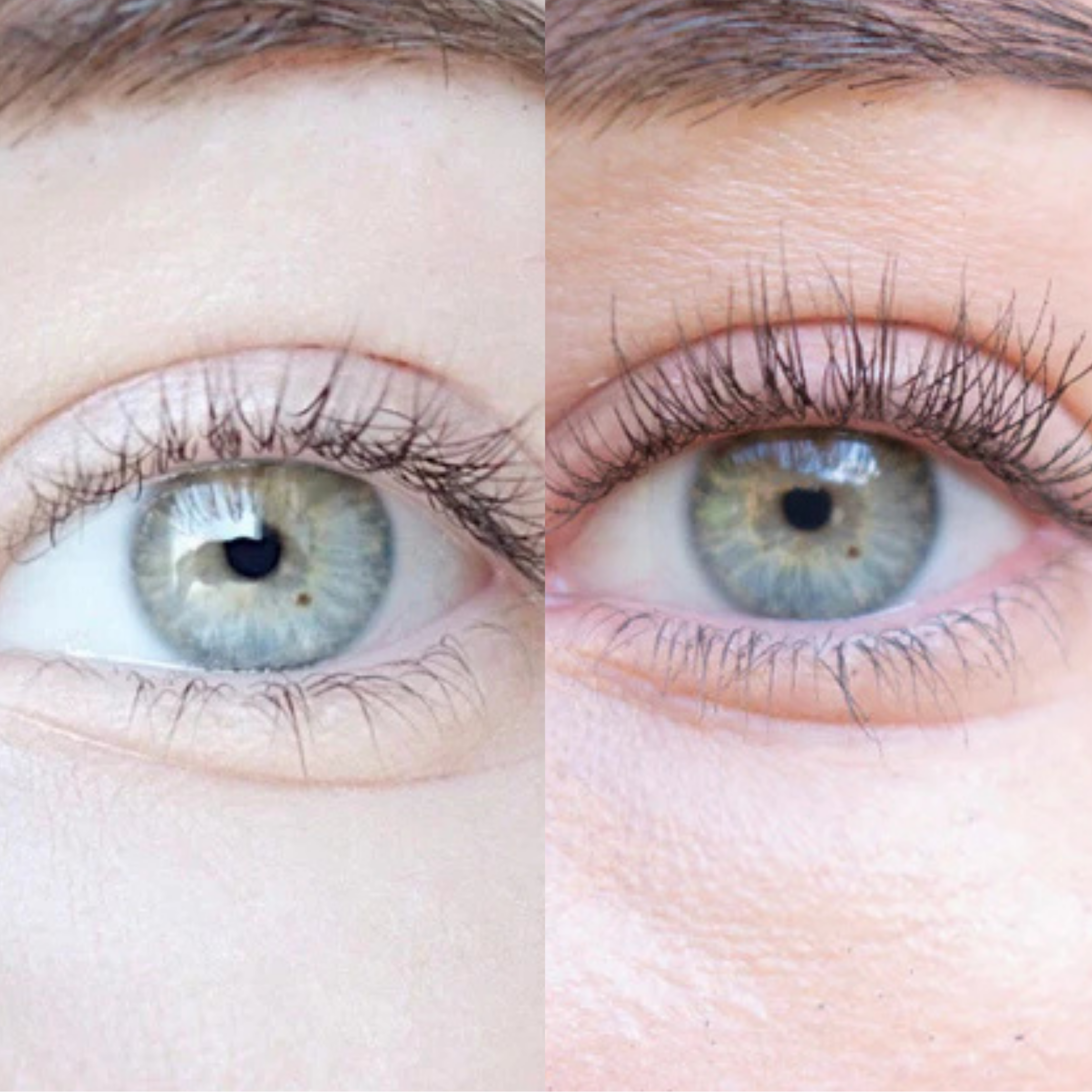 Xlash Eyelash Serum - сыворотка для ресниц, 3мл