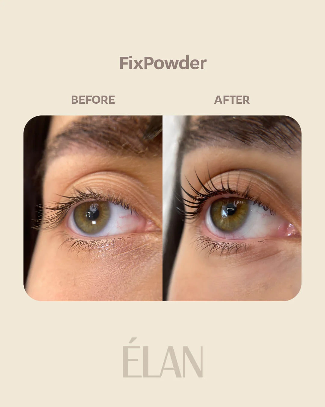ELAN FixPowder Eyelash Lifting Setting Powder, 9 g