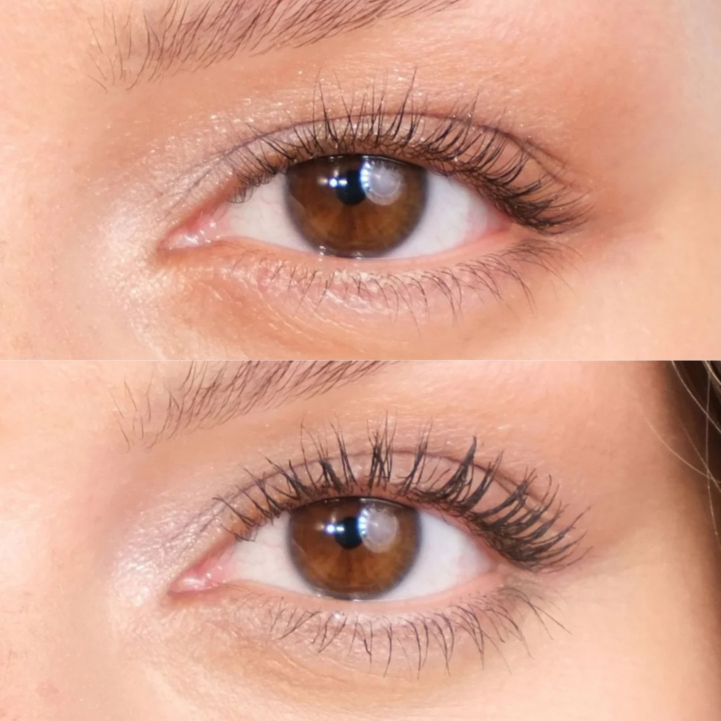 XLASH Drama Tinted Primer, 6,3ml