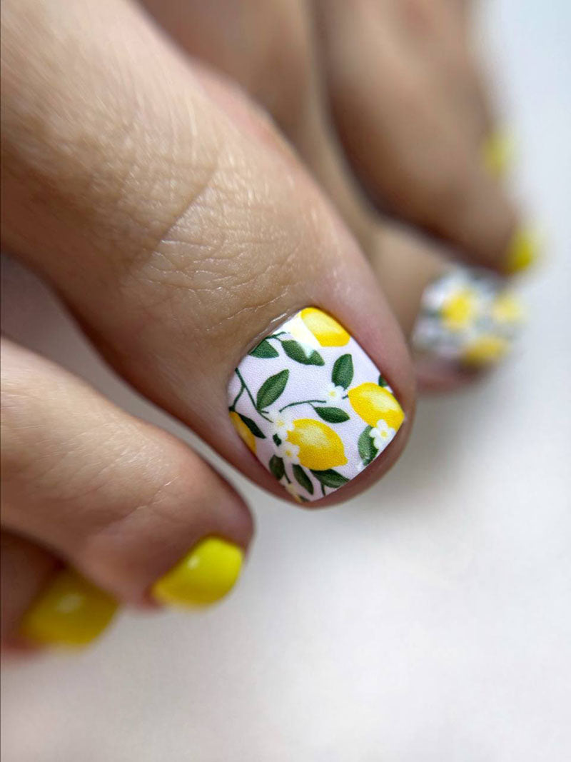 Pediküreschrank Pediküre-Folie [WR-484]